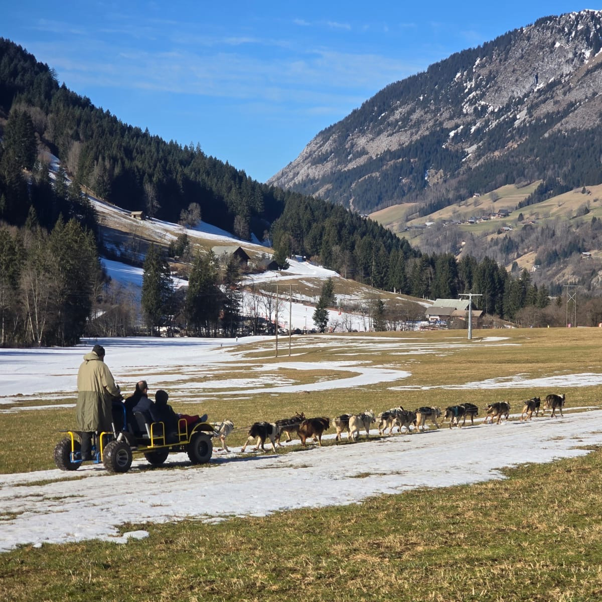 Cani-kart avec A ton étoile