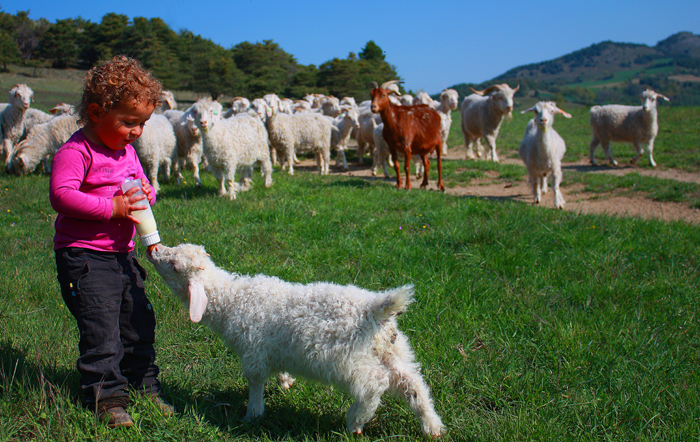 La Ferme du Col JARJAYES