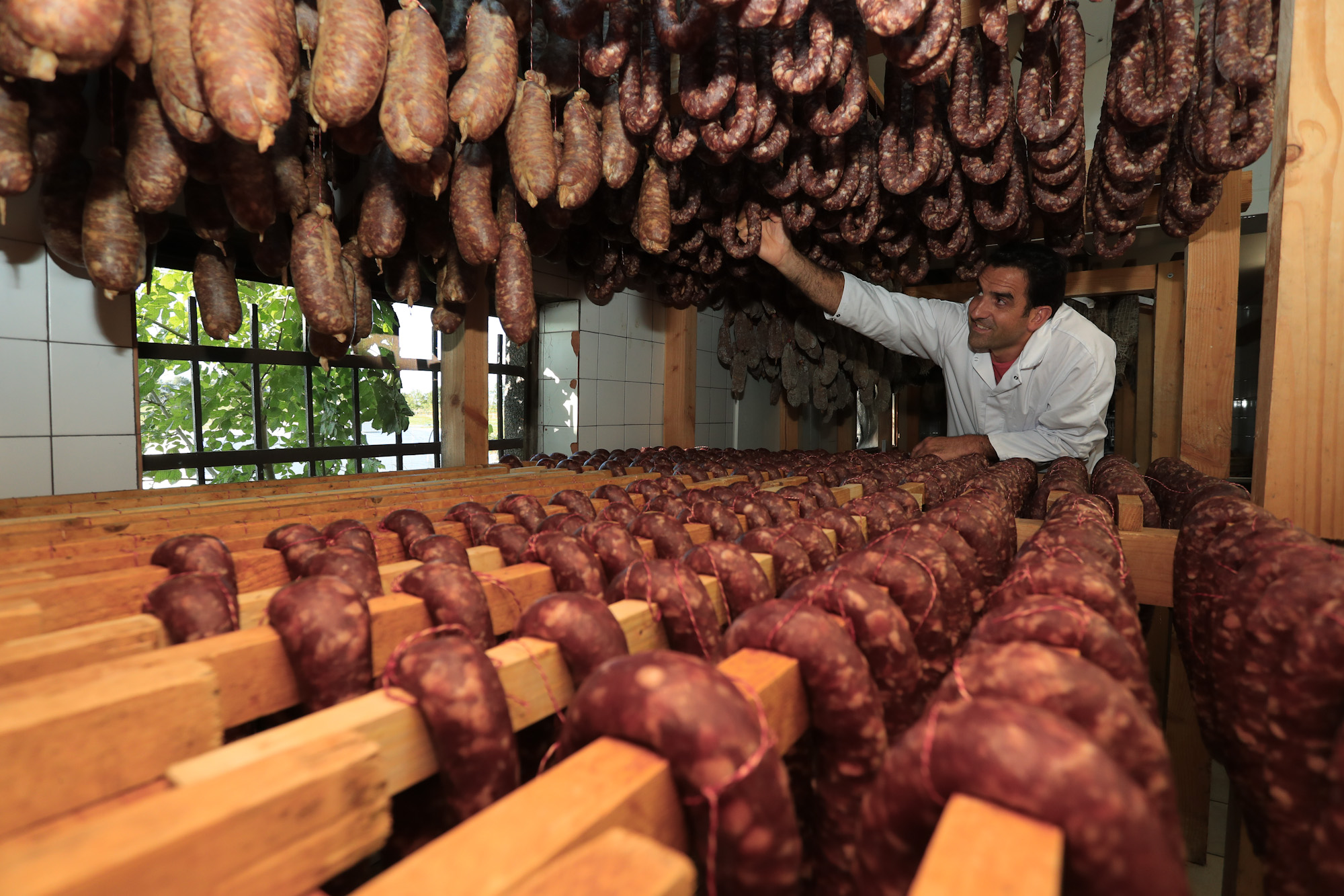 La ferme des cochons gourmands