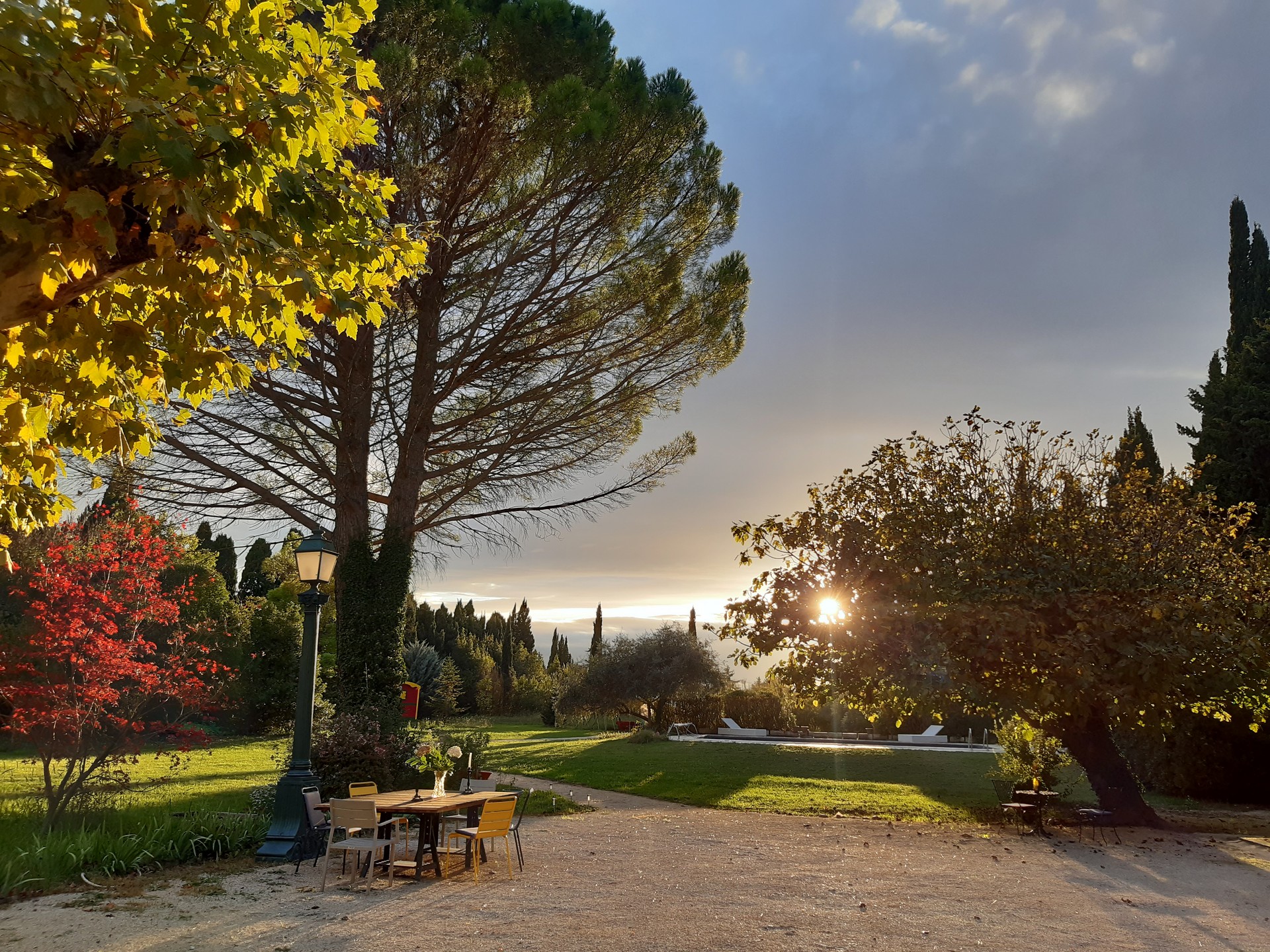 Rémy a dit !, Saint-Rémy-de-Provence - photo 4