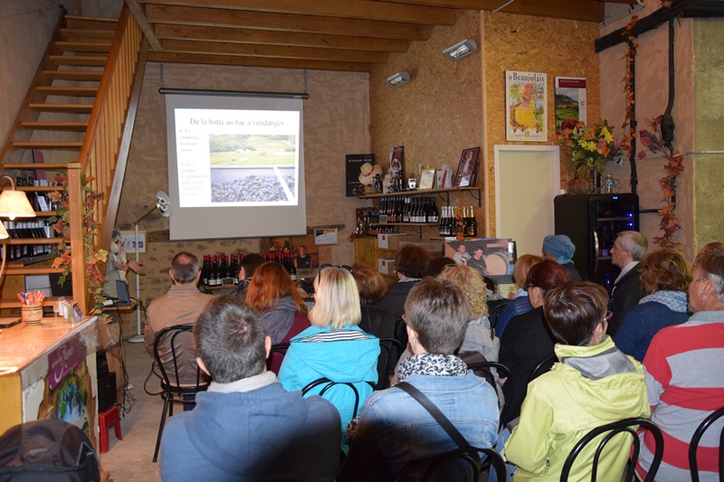 Diaporama des vendanges et de la vinification