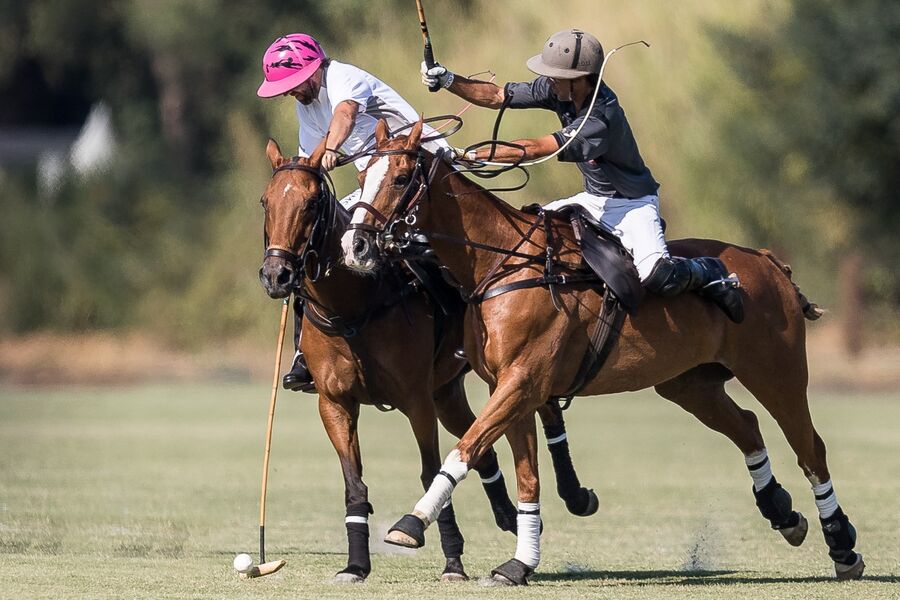 Polo Club de Saint-Tropez - Haras de Gassin