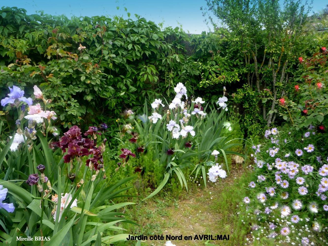 L'Olivade, Eyragues - photo 31