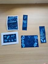 Atelier en famille - Cyanotype  et botanique_Saint-Étienne