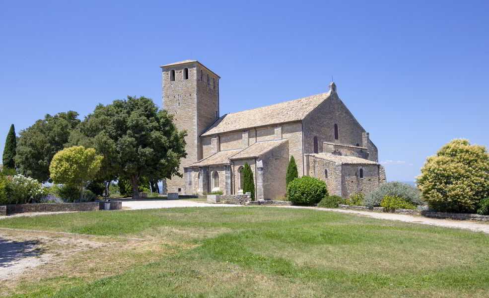 Collégiale Saint Martin