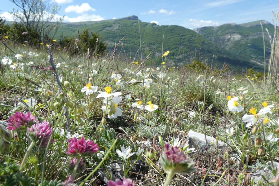 Rosans et ses sphères - © © André CERDAN Cap sur la géologie des Baronnies provençales_Upaix - © © André CERDAN