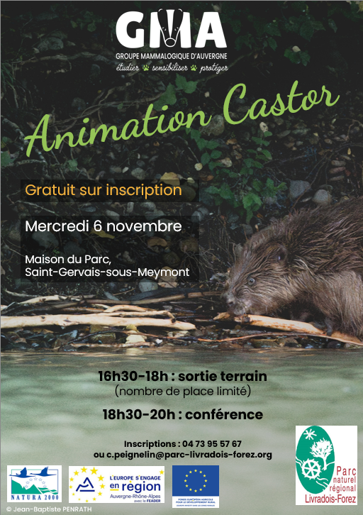 Animation sur le Castor // Saint-Gervais-sous-Meymont