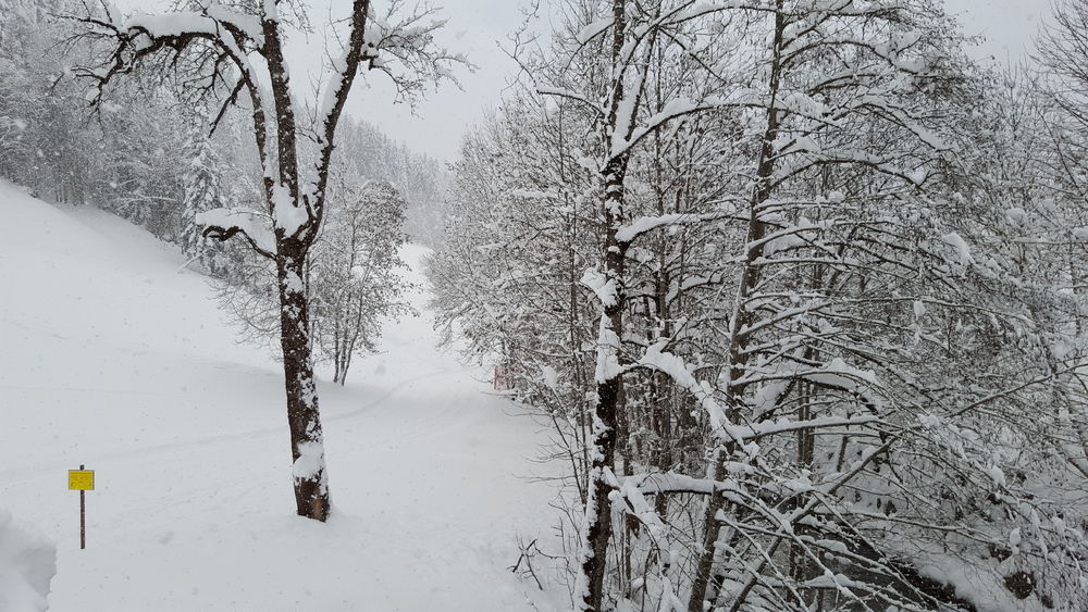 Sentiers raquettes 19 - La vallée du Bouchet