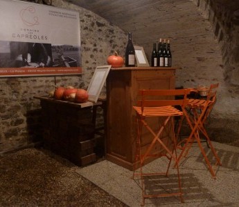 REGNIE-Domaine Les Capréoles