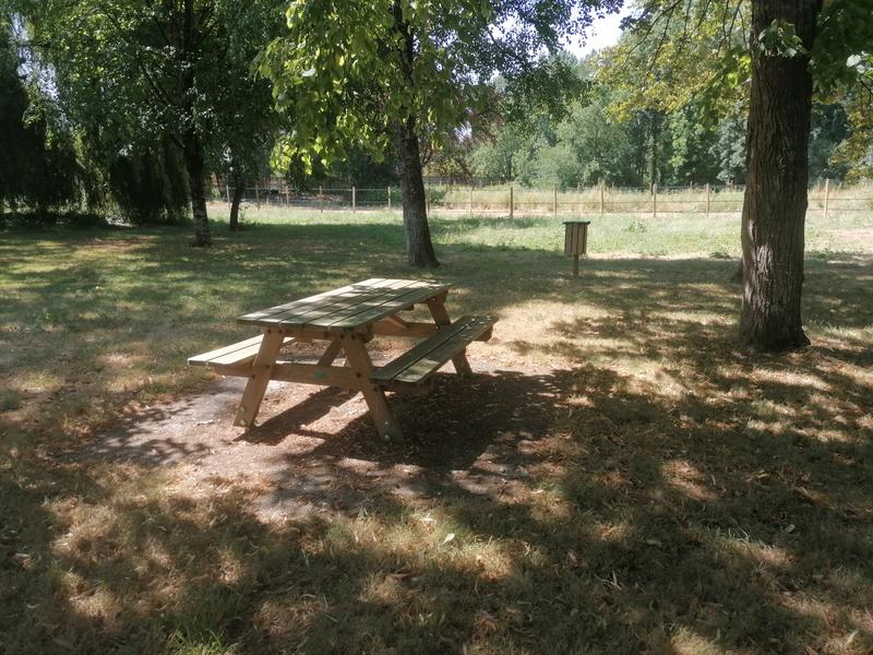 Table de pique-nique