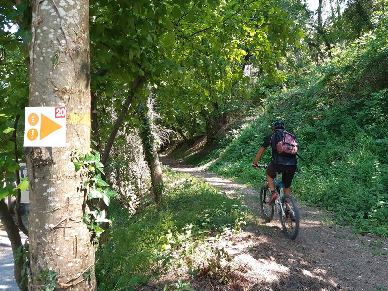 Circuit VTT Rouge Marsanne