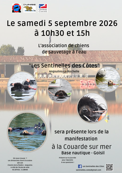 Journée sauvetage à l'eau