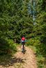 Espace VTT Vichy Montagne Ⓒ  Vichy Destinations