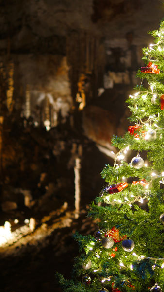 LAven dOrgnac et la Cité de la Préhistoire pour les vacances de Noël