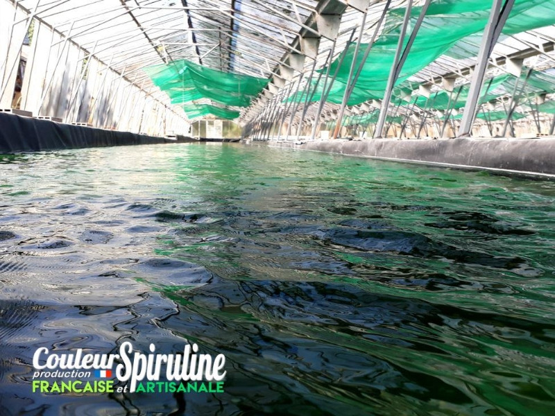 La Ferme des Parpaiouns - Couleur Spiruline — photo 2