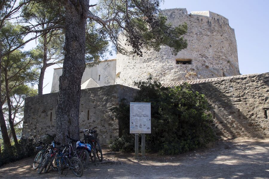 Ile de Porquerolles