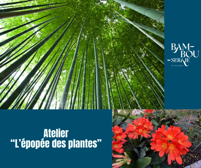 Atelier - Epopée des Plantes_Générargues
