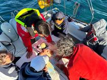 Stage croisière en voilier