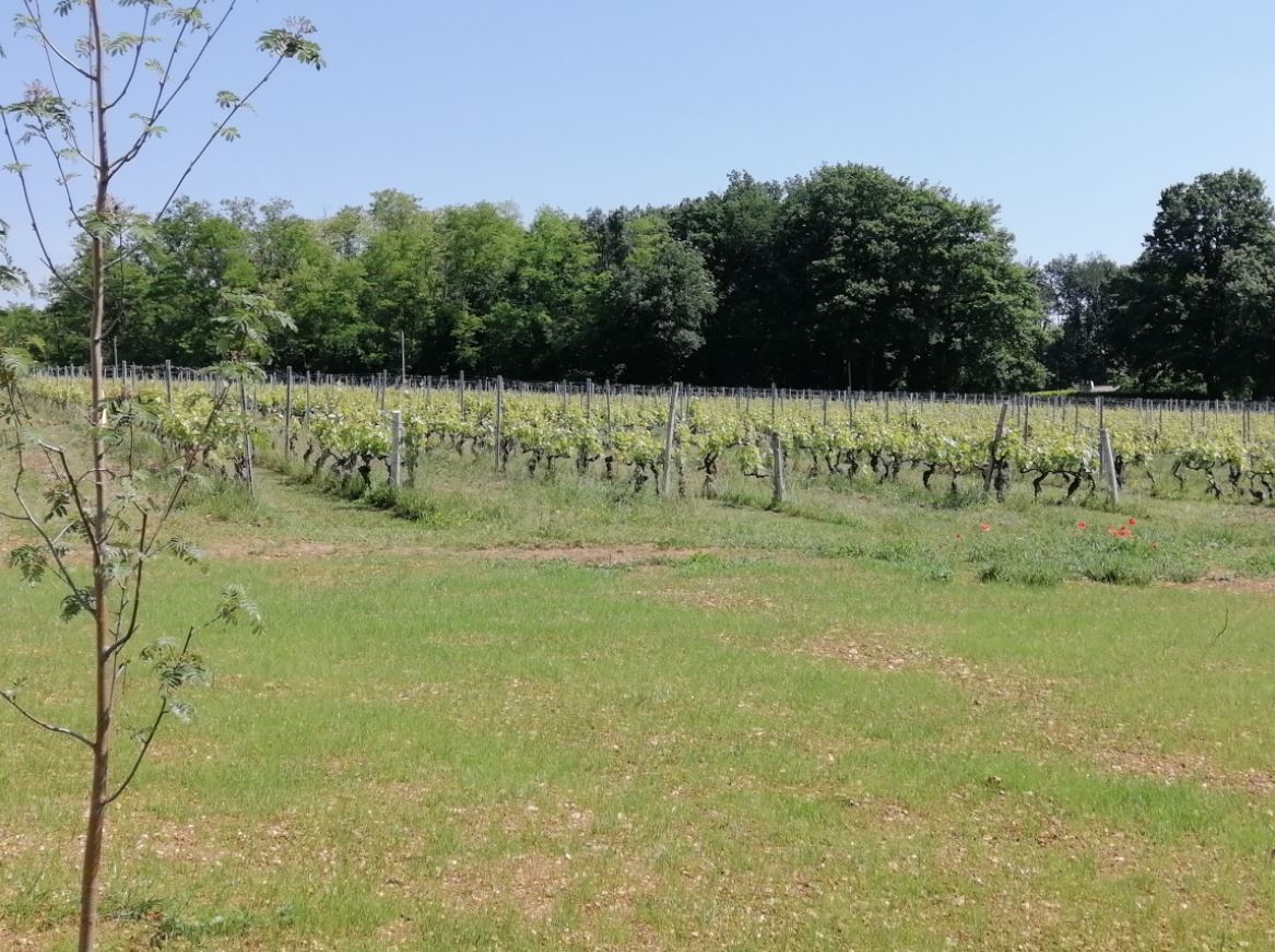 aire camping-car Pampres d'Or