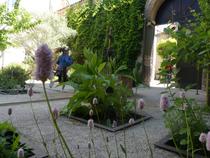 Mon jardin de rêve_Saint-Antoine-l'Abbaye