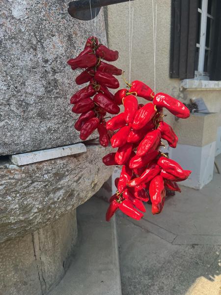 Piment de Bresse à la ferme Piment de Bresse à la ferme