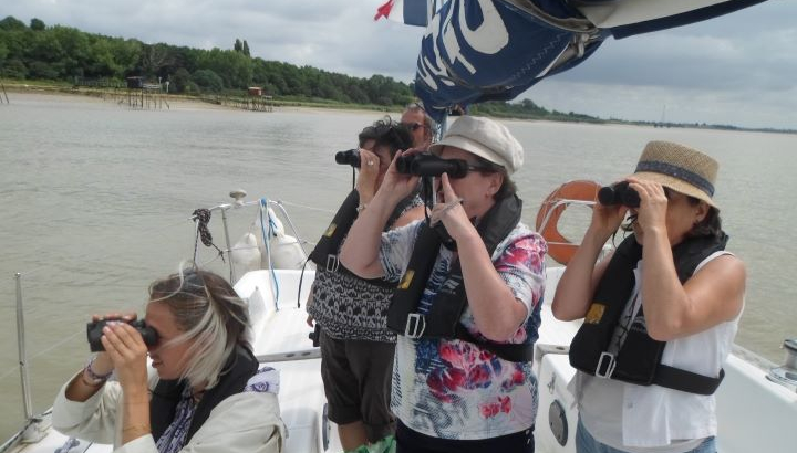 Balade nature en voilier vers l'île Madame