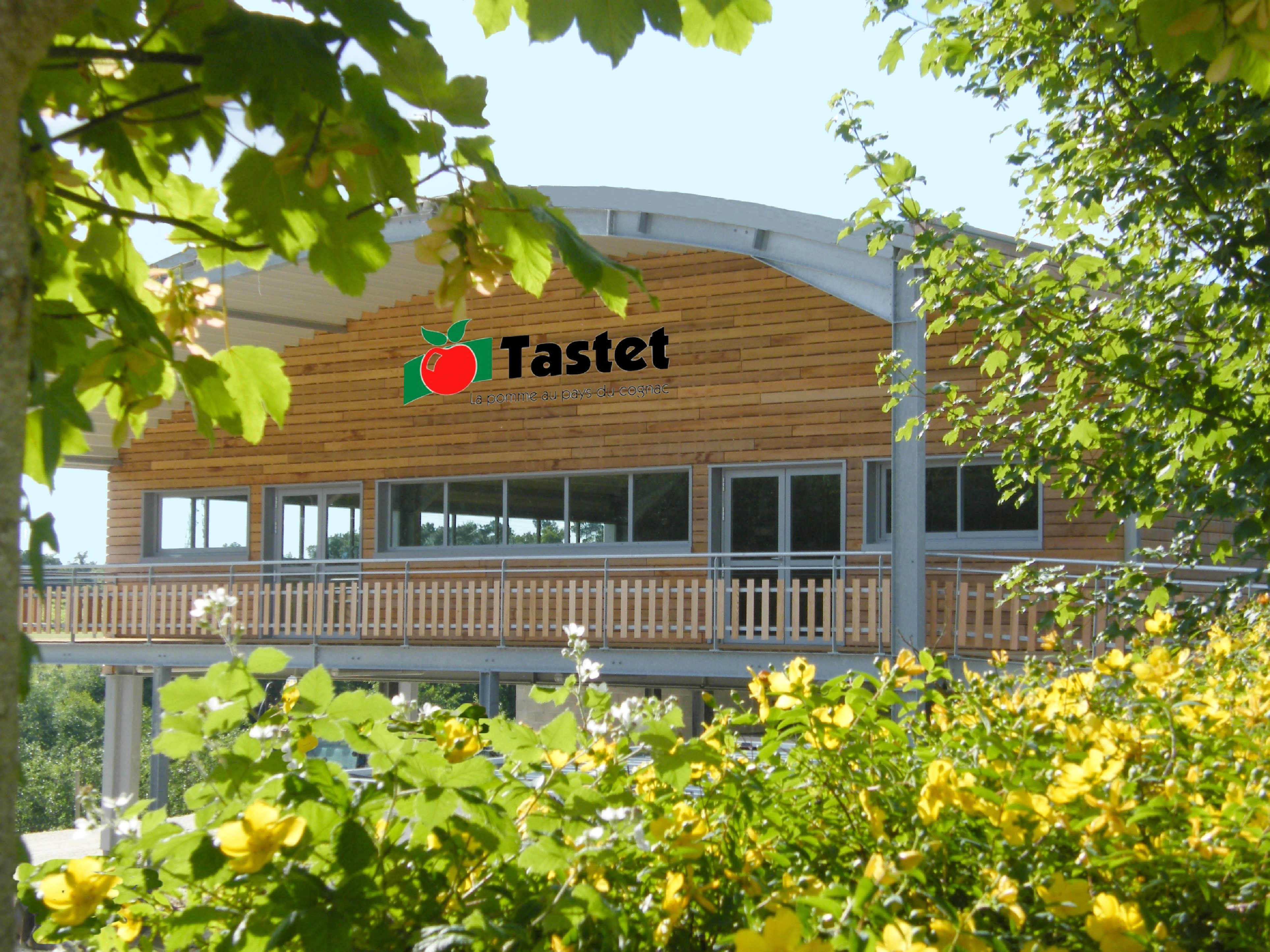 Pommes Tastet