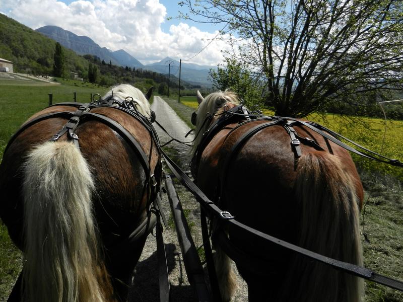 Evasion nature roulotte itinérante et balade en calèche_Le Poët-Célard