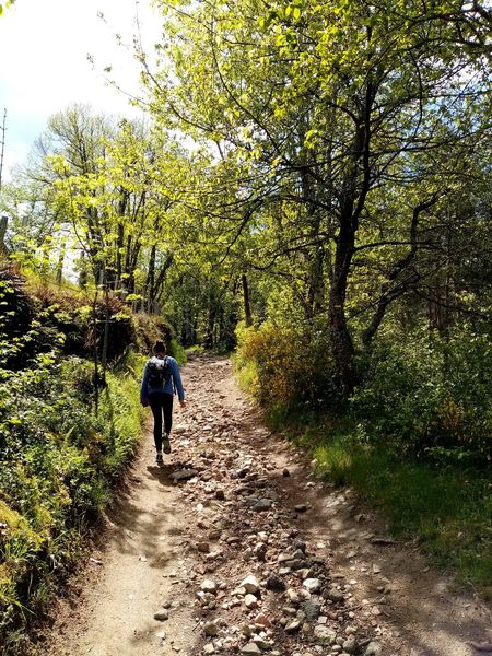 Balade en Vallons Vaugneray