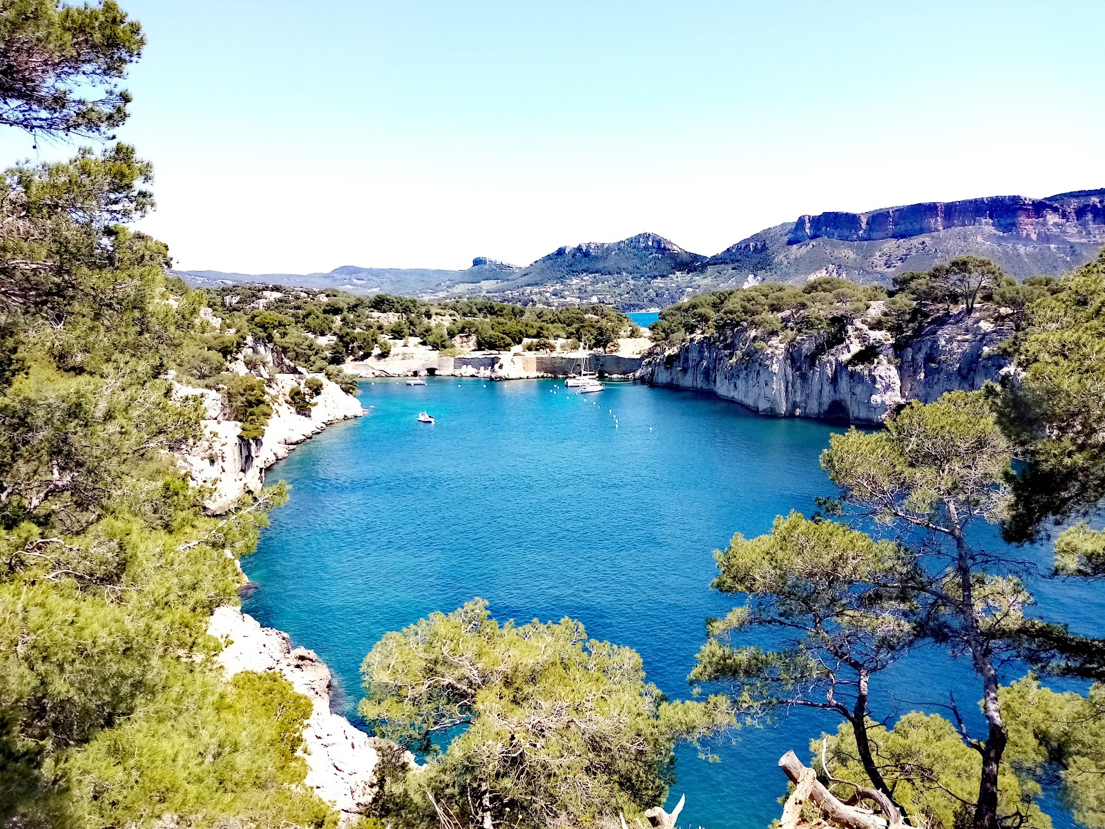 Les Cigales, Cassis - photo 13
