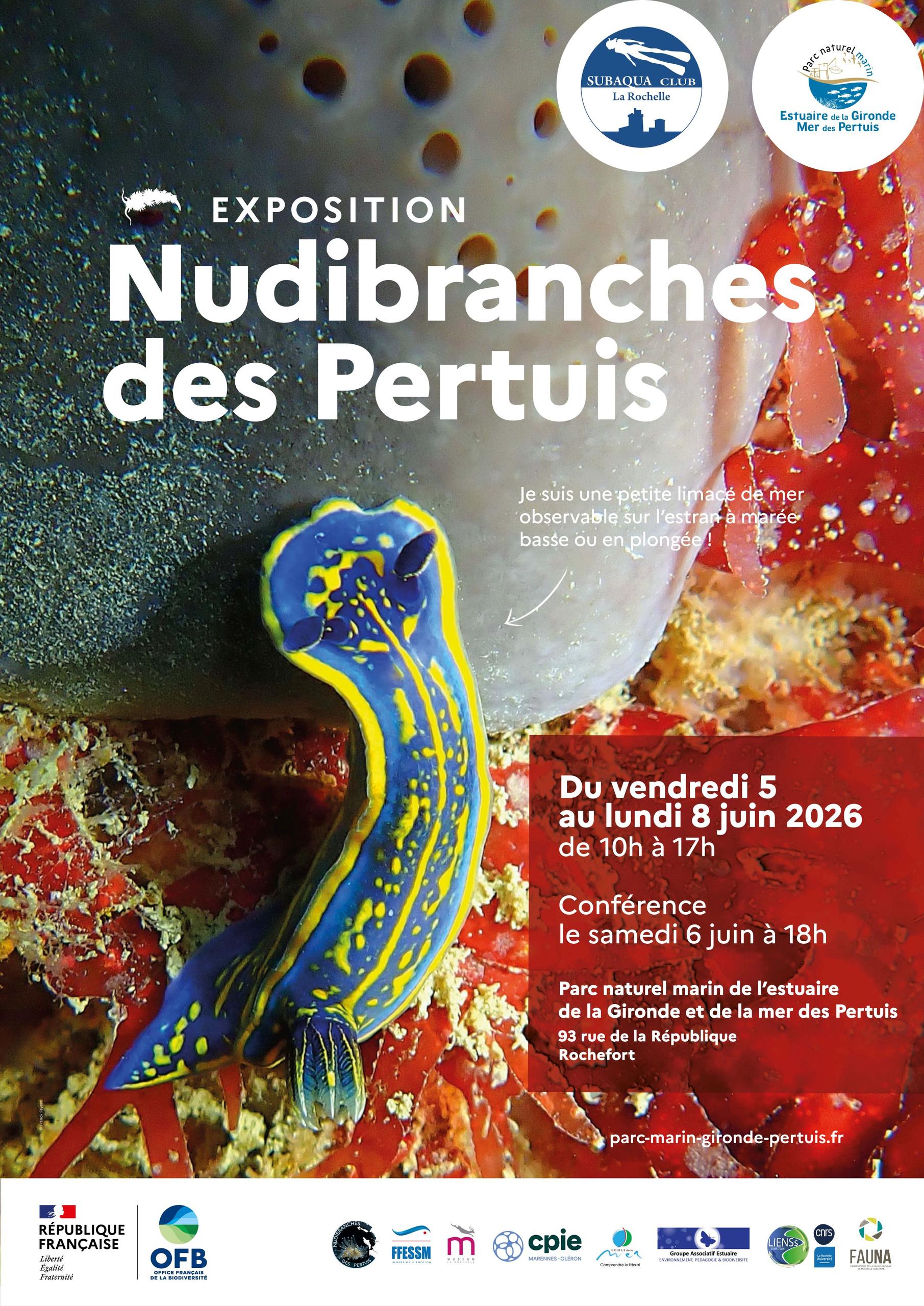 Exposition photographique : Nudibranches des pertuis