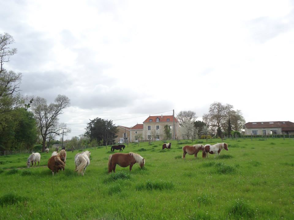 Ferme des Augustines