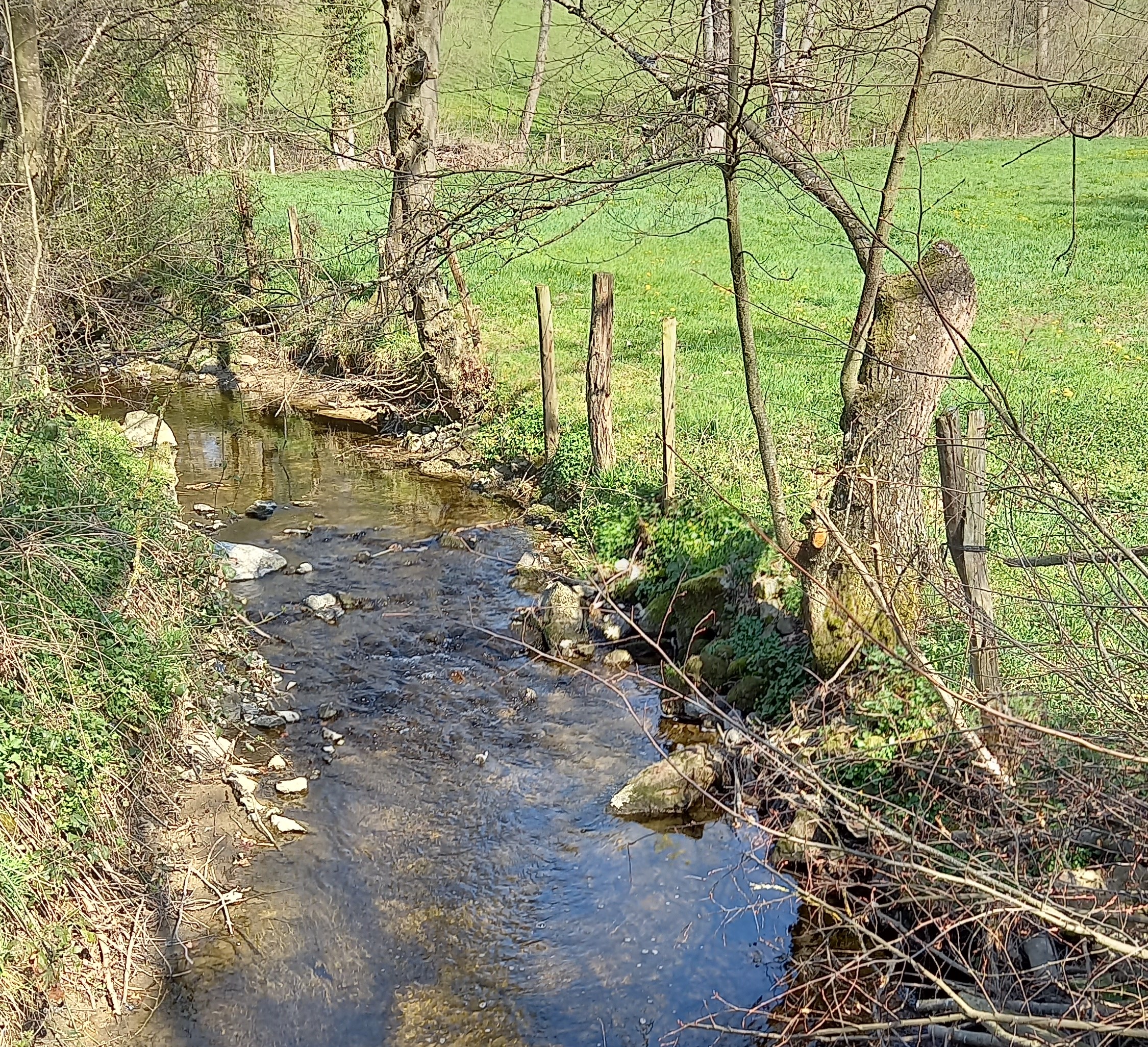 Rivières