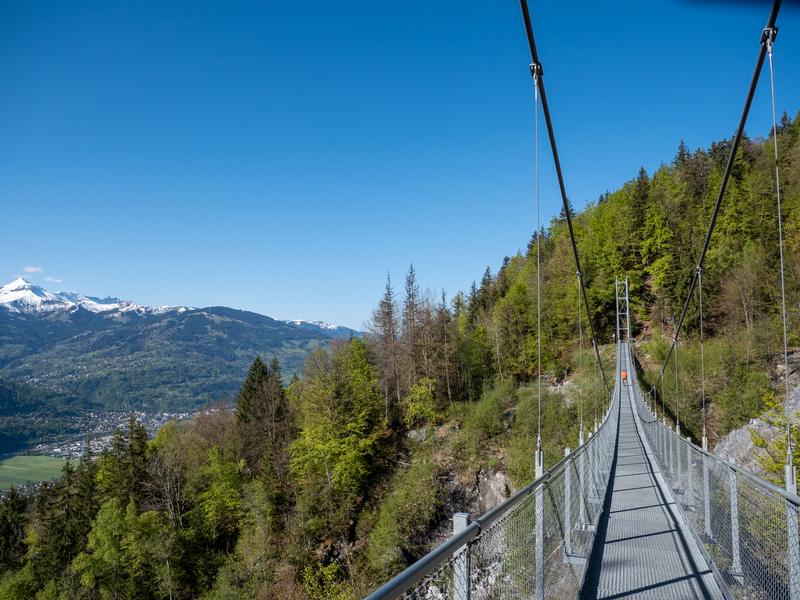 Balade du Plateau d'Assy au Lac Vert par la passerelle du Nant Bordon_Passy