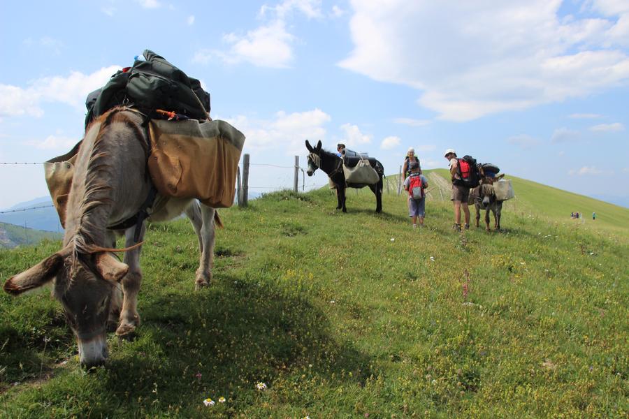 Au Pas de l'Ane en Trièves  - Séjour Sans Voiture_Saint-Martin-de-Clelles