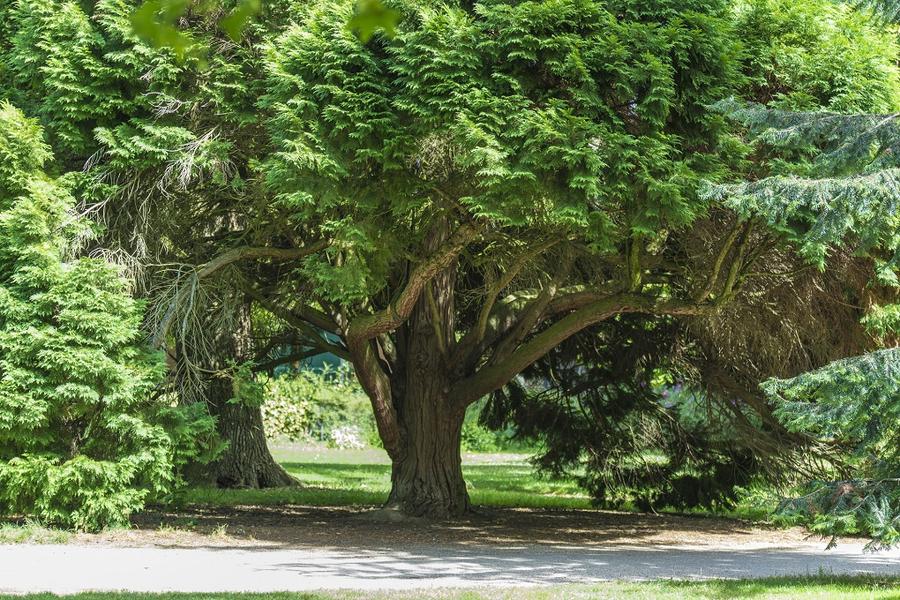 Visite guid&eacute;e "A la d&eacute;couverte du Parc Napol&eacute;on III"