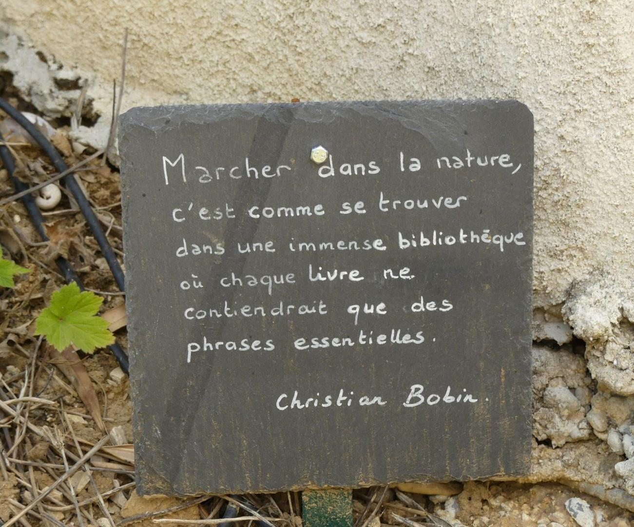 Le Mas Du Biaou, Trets - photo 26