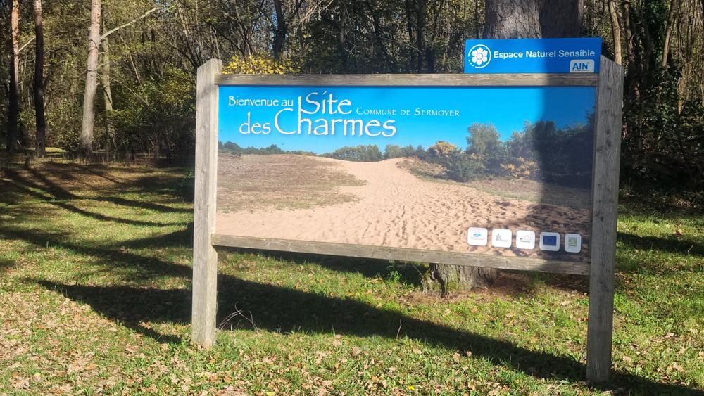Liaison VTT-VTC (L7) St Trivier de Courtes - Dunes de Sermoyer_Saint-Trivier-de-Courtes