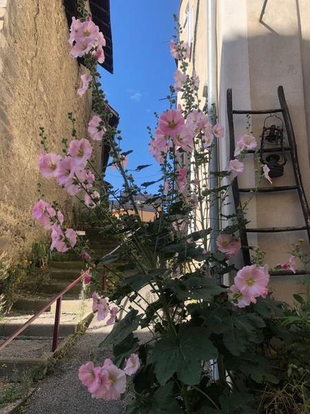 Rue Basse Seyne