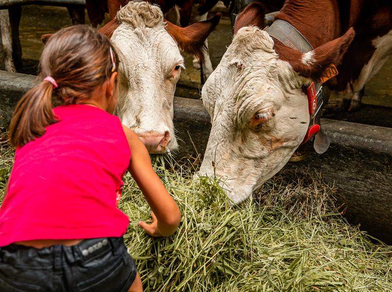 Visite de ferme et atelier beurre_Combloux