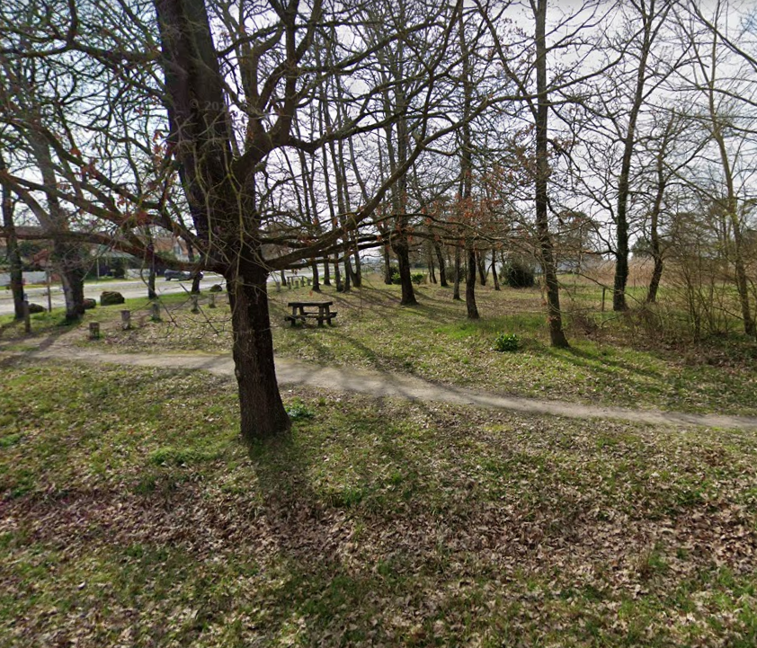 Aire de pique nique - Petit bois de pins