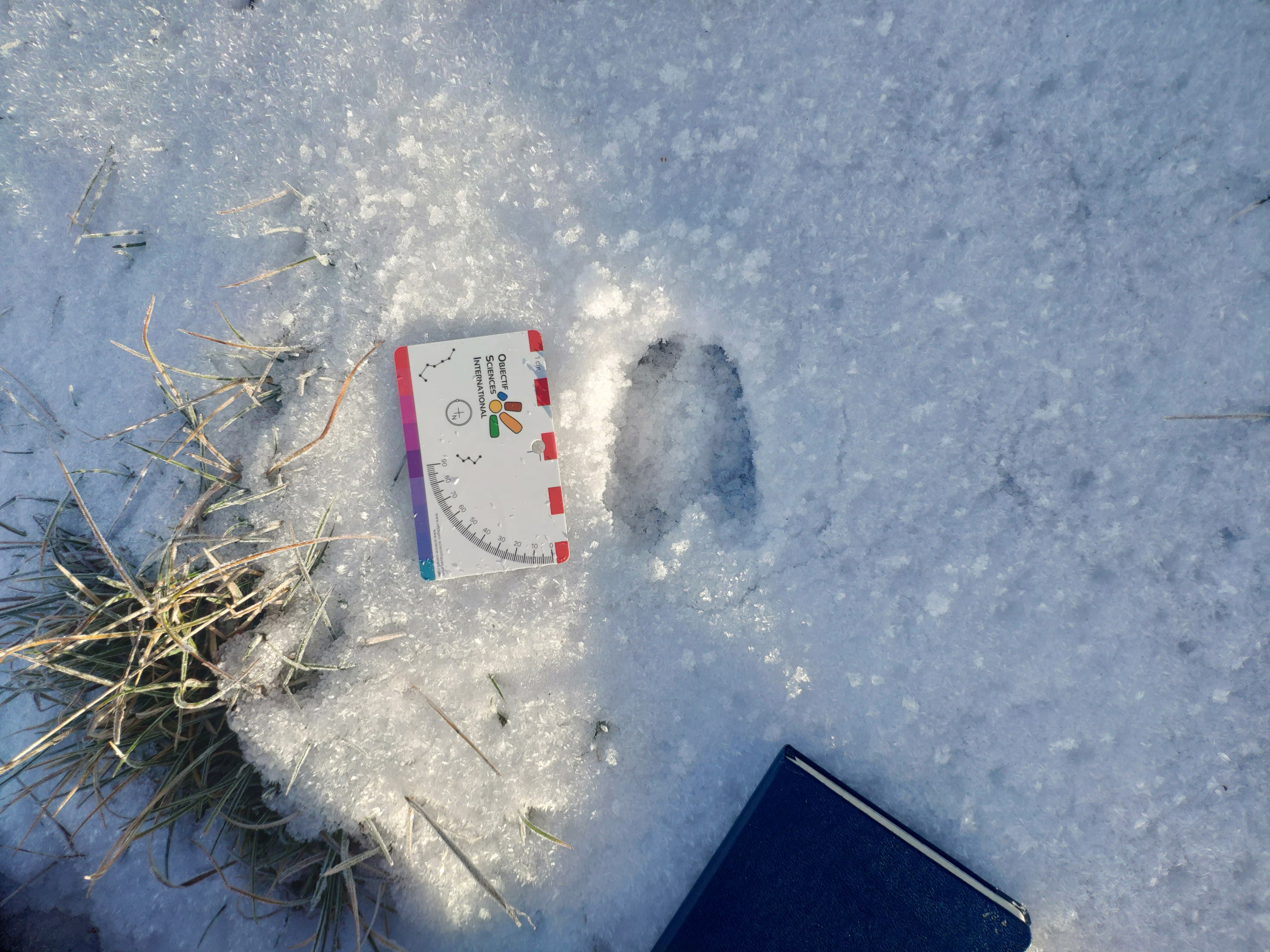 Journée trappeur hivernale - Raquette