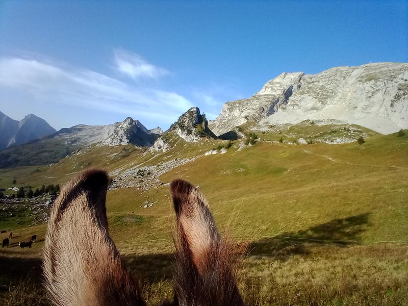 Randonnée avec les ânes : 4 jours Tour du Charbon_Les Déserts