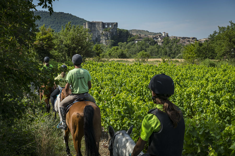 Alba site antique château cheval équitation vignes