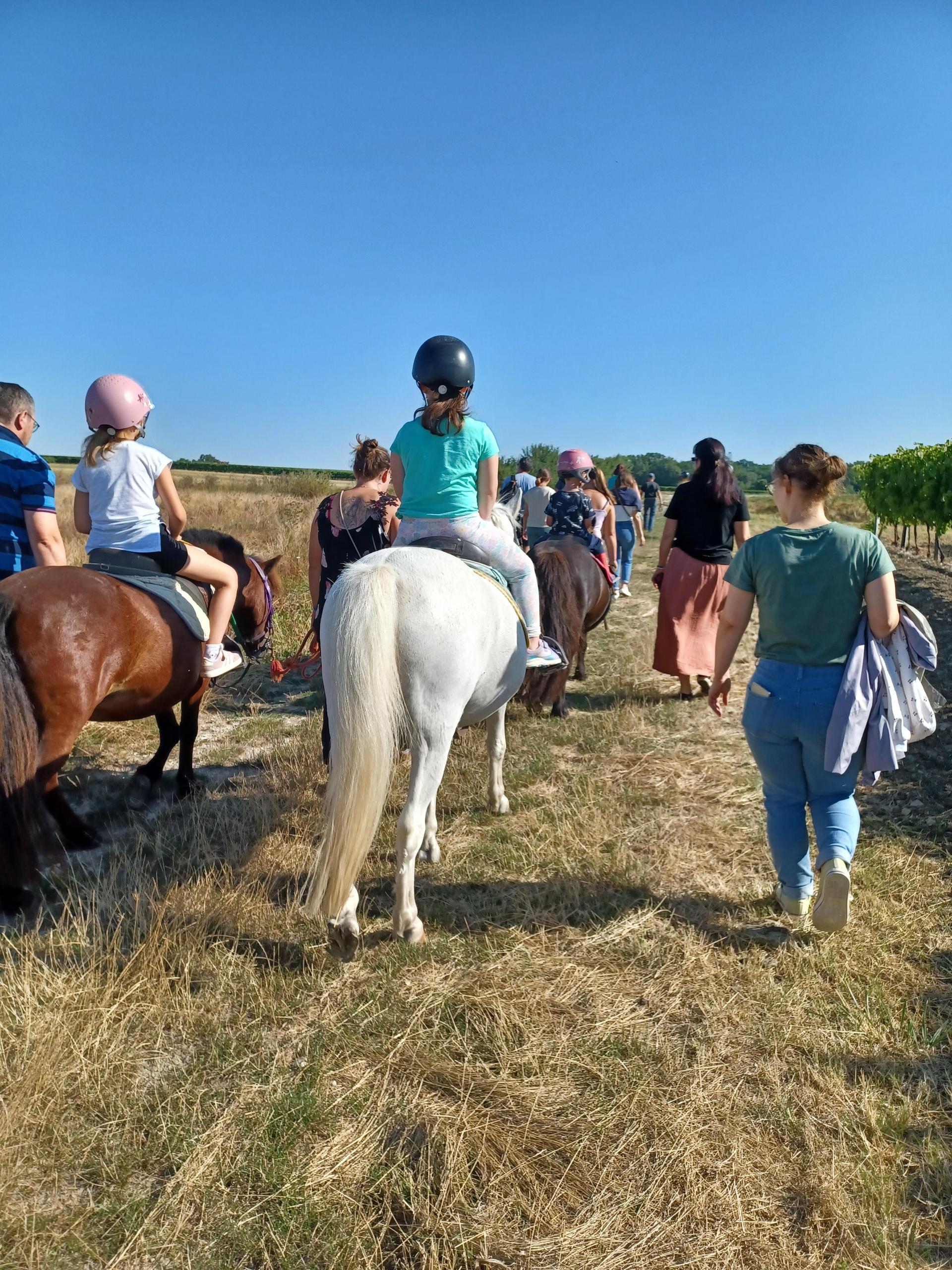 Poney Eveil