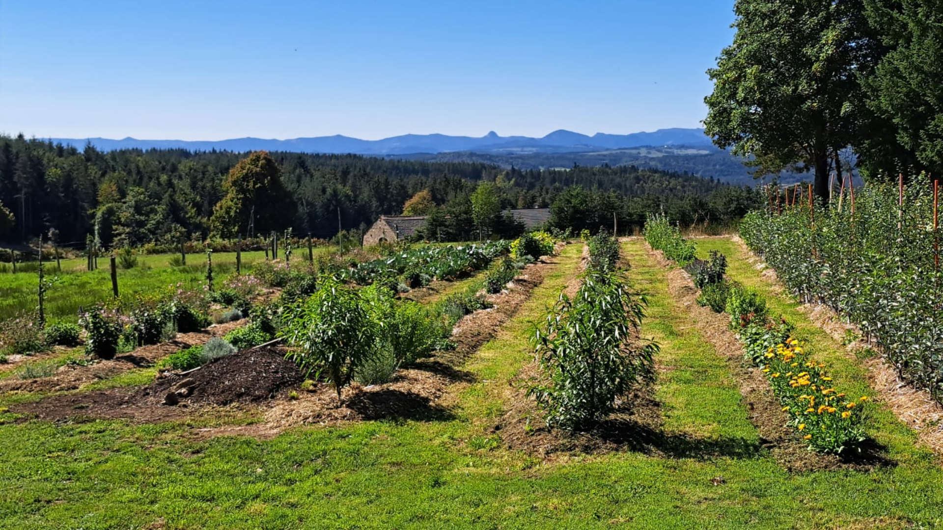 Visite à la ferme : Les Jardins de Badel - L'Automnal gourmand