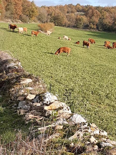 Annoisin-Chatelans - Balcons du Dauphiné - Nord-Isère - à moins d'une heure de Lyon