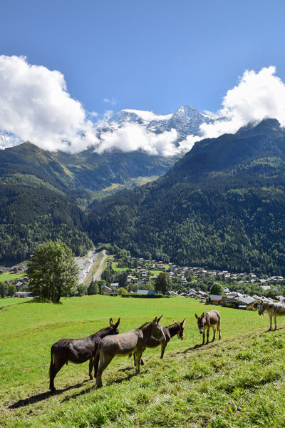 Randonnée Patrimoine : La roua dé lé, la rive de l’autre coté