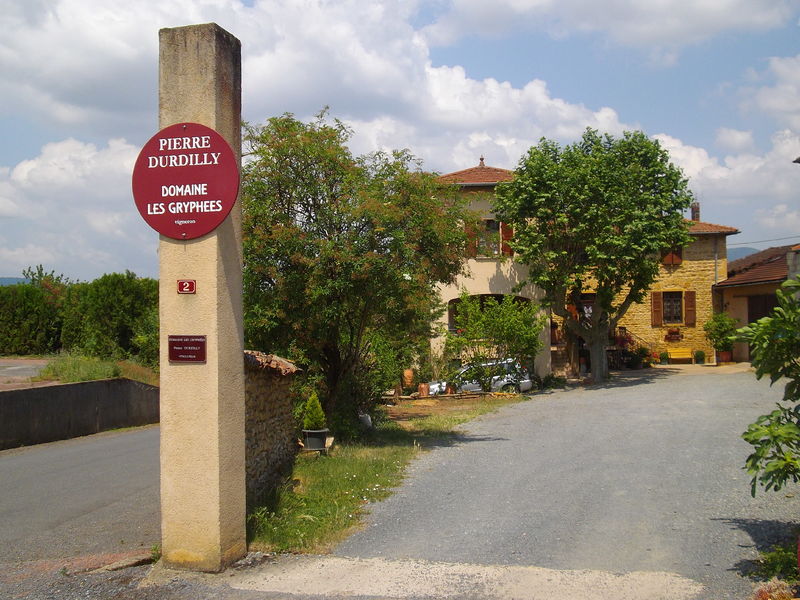 Domaine Les Gryphées