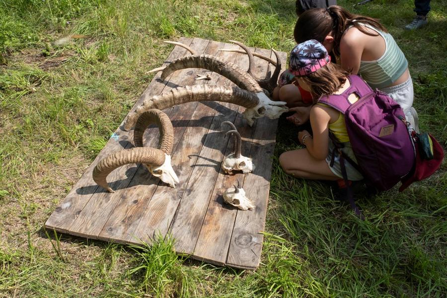 Atelier : nature et peinture pour le mardi des enfants